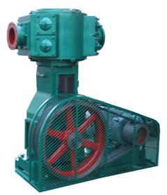 WLW系列無(wú)油立式真空泵